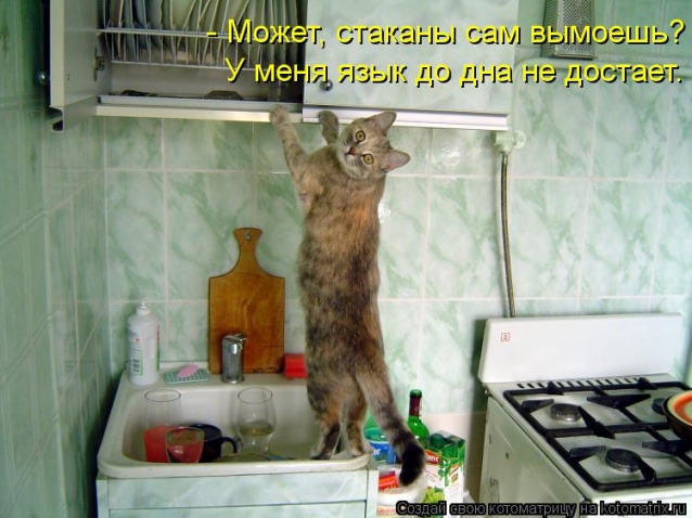 Юмор, позитифффчик на сон грядущий