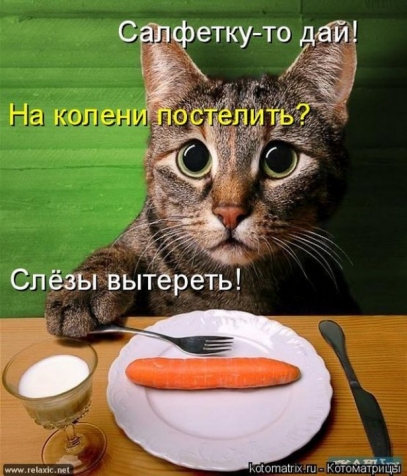 Юмор, позитифффчик на сон грядущий