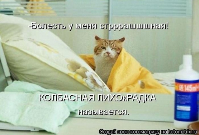 Очередная котоматрица