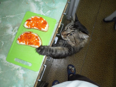 и это все для меня?! и это все для меня?!