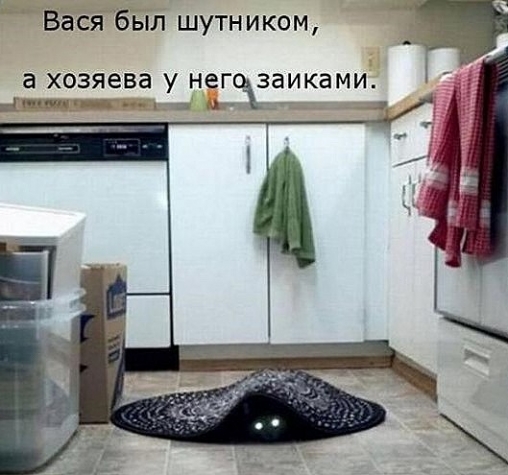 Юмор и котоматрица