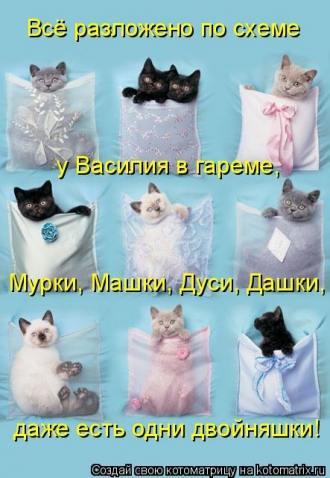 Очередная котоматрица+другое зверье