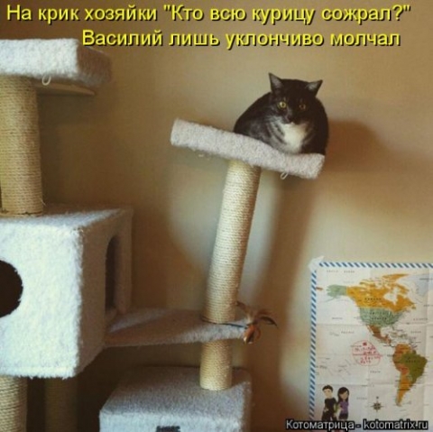 Очередная котоматрица