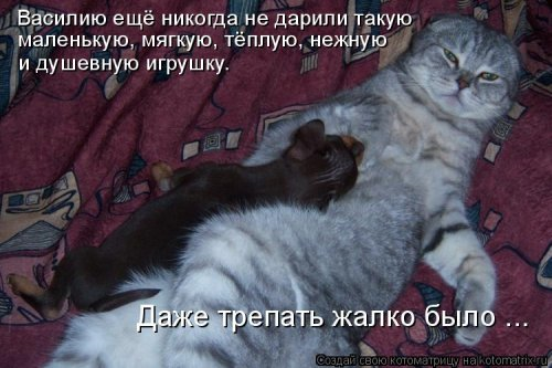 Очередная котоматрица