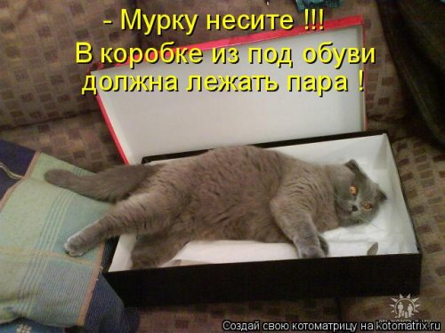 Очередная котоматрица