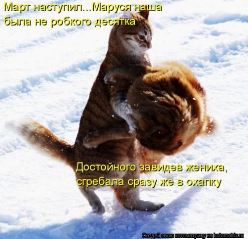 Очередная котоматрица