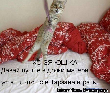 Очередная котоматрица