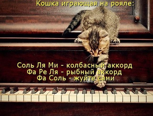 Очередная котоматрица