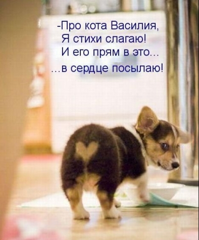 Очередная котоматрица