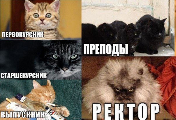 Немного юмора