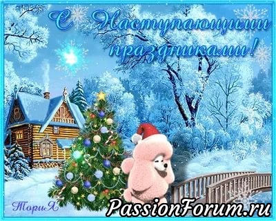 С НАСТУПАЮЩИМ НОВЫМ ГОДОМ ДОРОГИЕ МОИ ПОДРУГИ, ФОРУМЧАНКИ!!!