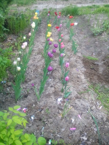 Поездка на природу и дачу подруги