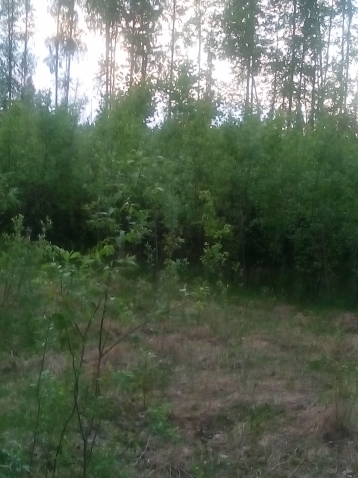 еще еще