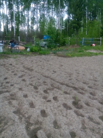 Поездка на природу и дачу подруги