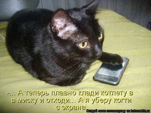 Очередная котоматрица