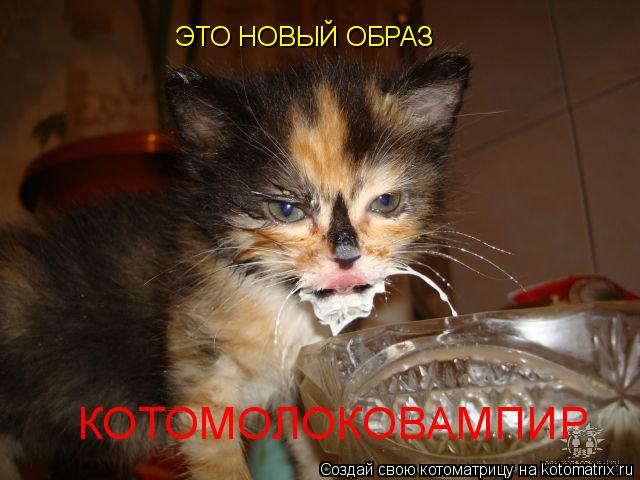 Очередная котоматрица