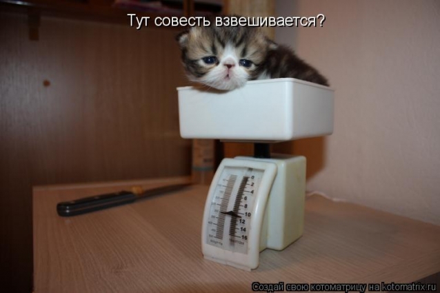 Очередная котоматрица