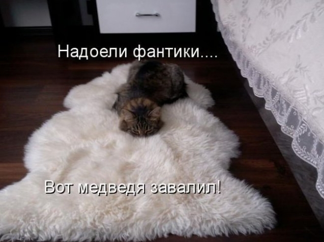 Очередная котоматрица