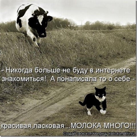 Немного юмора