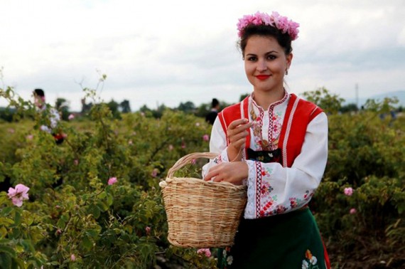 Моя фея из прекрасной страны роз!