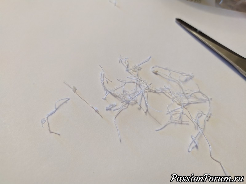 Как рождалась "Лесная Принцесса". Фото-репортаж. День 1.