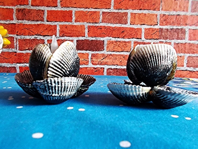 Подсвечники из ракушек