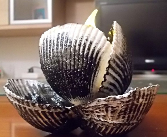 Подсвечники из ракушек