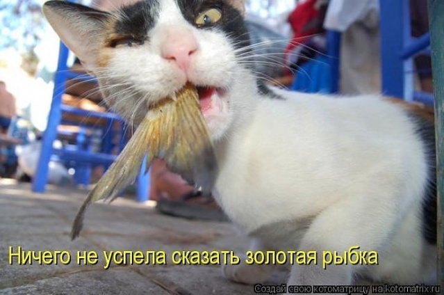 Про еду.
