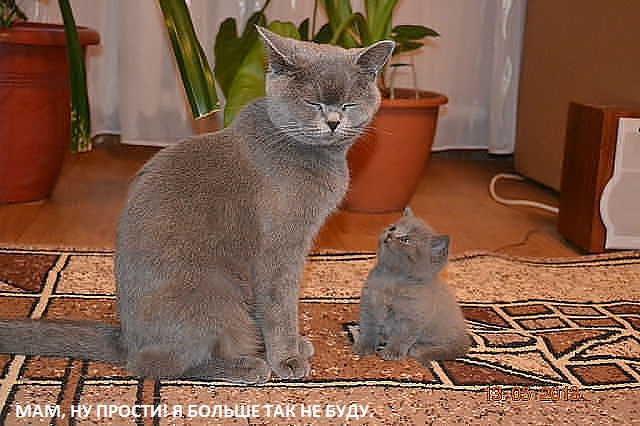Принимаю первоапрельскую эстафету.
