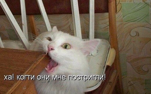 Принимаю первоапрельскую эстафету.