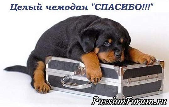 А я уже с подарками