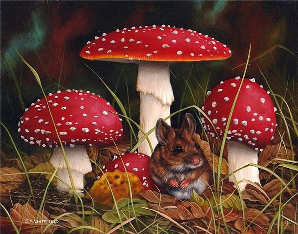 С ПЕРВЫМ ДНЕМ ОСЕНИ