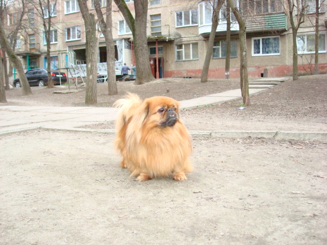 НУЖНА ПОМОЩЬ, ИЩУ СХЕМКУ