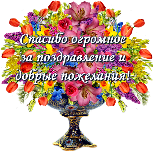 Спасибо всем