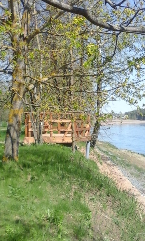 В гости к Репину.