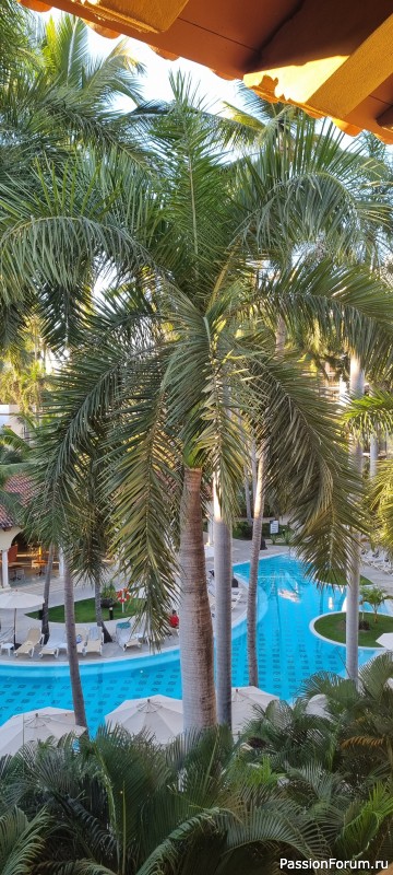 Отдых в Пуэрто Вальярта.