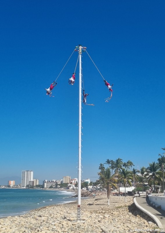 Отдых в Пуэрто Вальярта.