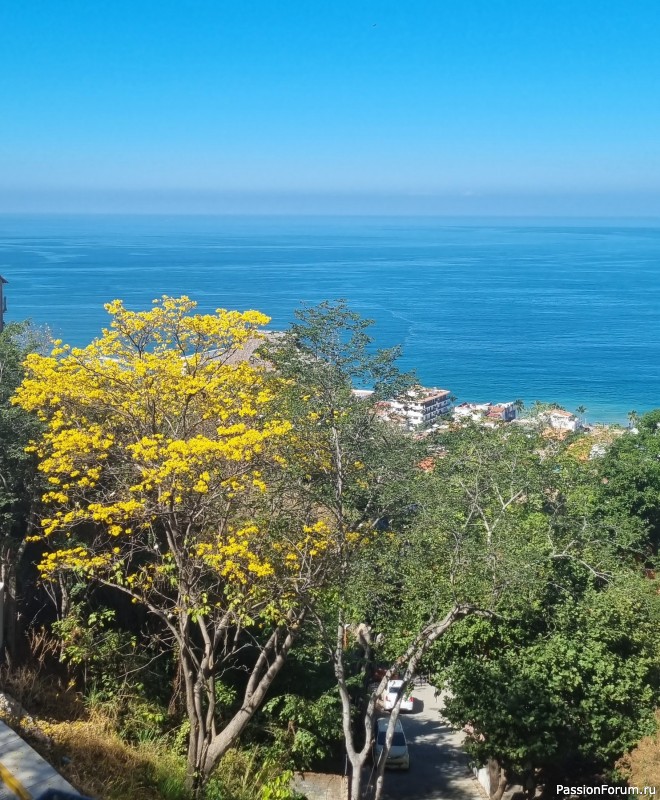 Отдых в Пуэрто Вальярта.