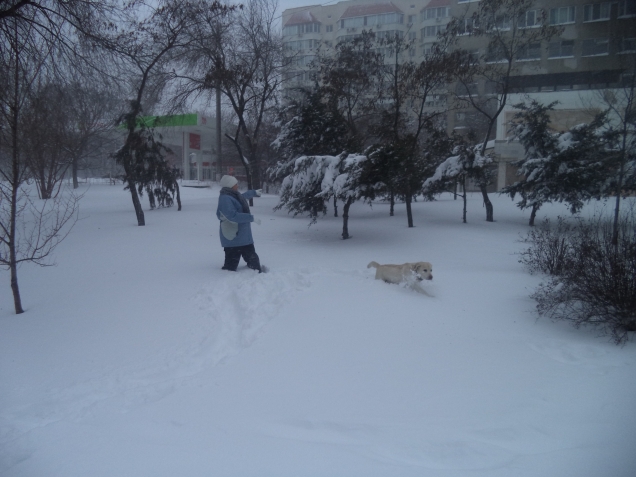 тихим снежным днем