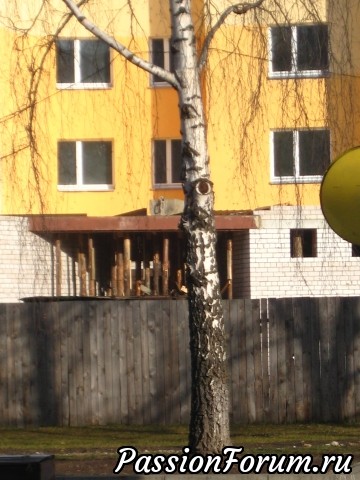 Я вижу глаз, а вы?