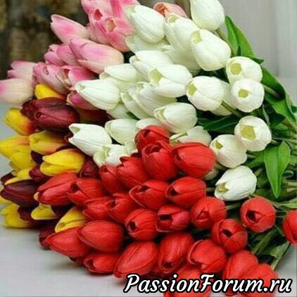 От всей души благодарю!