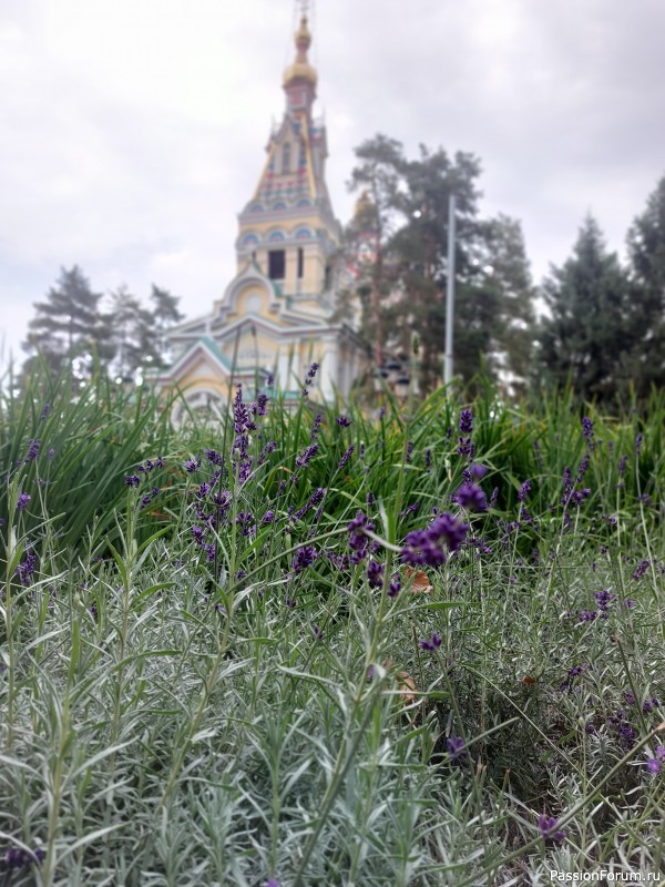 Осень в городе