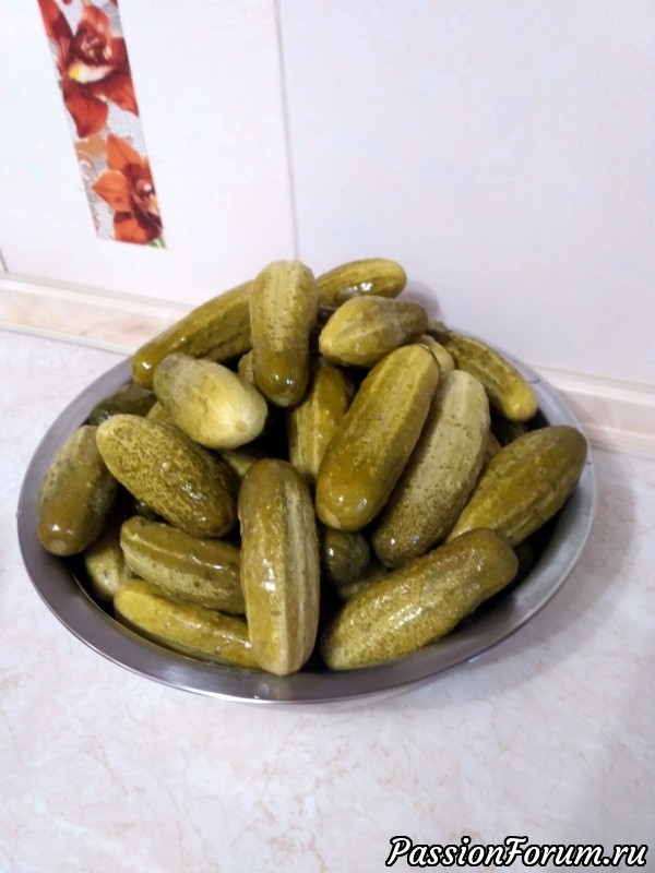 Да здравствует ОГУРЕЦ!!!