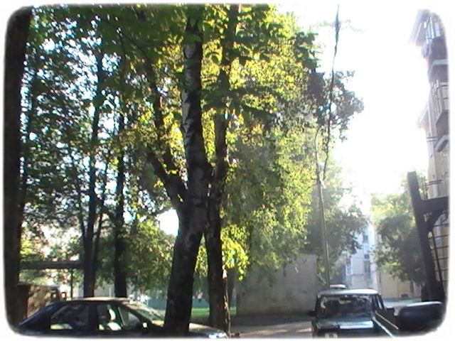 Былое и думы