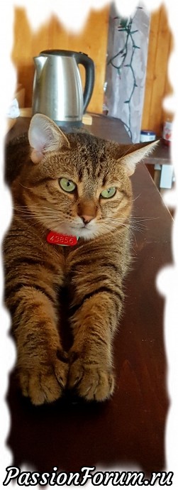 А это моя котоФЕЮШКА - Гаечка! Знатная вышивальщица - ну стоит дверь в мою вышивальную келью оставить открытойкак она тут как тут - уже мулине рассматривает, на зуб пробует, слюной поливает, по полу катает!!! Ухо с ней надо держать востро! а здесь она в своей любимой позе Тря (поза Тряпочки! А это моя котоФЕЮШКА - Гаечка! Знатная вышивальщица - ну стоит дверь в мою вышивальную келью оставить открытойкак она тут как тут - уже мулине рассматривает, на зуб пробует, слюной поливает, по полу катает!!! Ухо с ней надо держать востро! а здесь она в своей любимой позе Тря (поза Тряпочки!