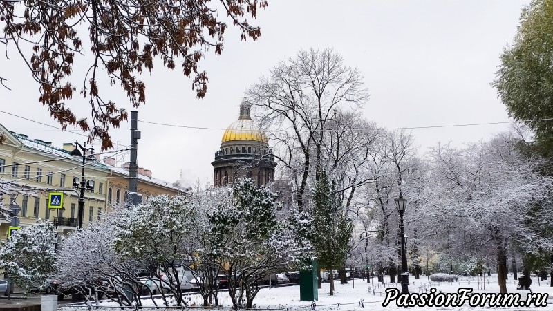 Первый Снег В Городе Фото