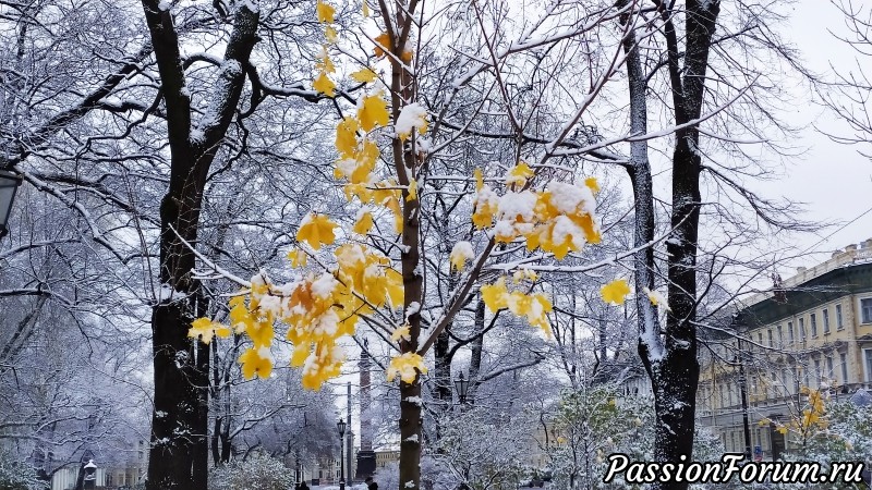 Первый снег