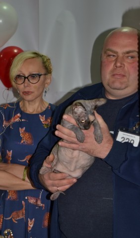 Питомцы и их хозяева. Питомцы и их хозяева.