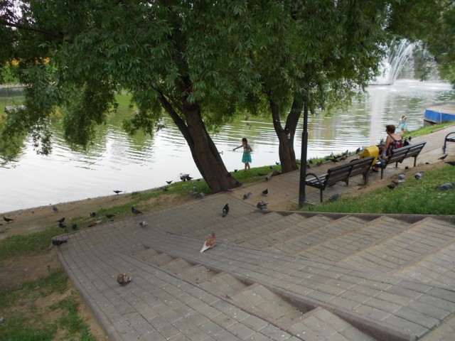 Прогулки по моему городу. Городской пруд