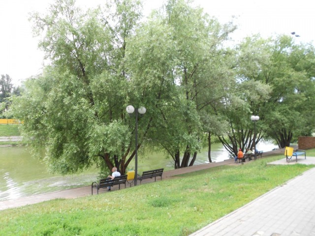 Прогулки по моему городу. Городской пруд